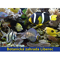 obrázek Botanická zahrada Liberec – 3D obrázek (lentikulár)