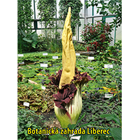 obrázek Botanická zahrada Liberec – 3D obrázek (lentikulár)
